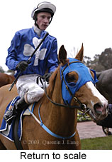 Return to scale (14298 bytes)