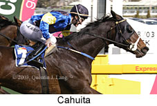 Cahuita (15879 bytes)