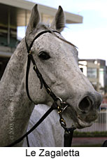 Le Zagaletta (11622 bytes)