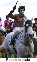 Return to scale (14279 bytes)