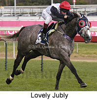 Lovely Jubly (16121 bytes)