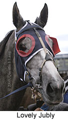 Lovely Jubly (11604 bytes)