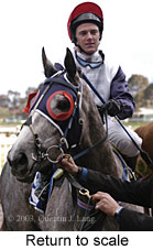 Return to scale (12498 bytes)