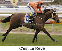 C'est Le Reve (14743 bytes)