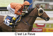 C'est Le Reve (14434 bytes)