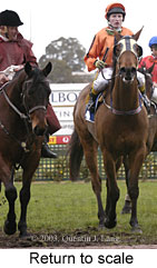 Return to scale (14513 bytes)