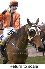 Return to scale (13245 bytes)