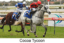 Cocoa Tycoon (14772 bytes)