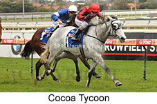 Cocoa Tycoon (14772 bytes)