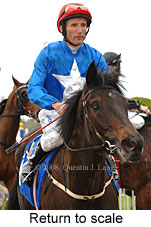 Return to scale (14008 bytes)