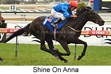 Shine On Anna (14772 bytes)