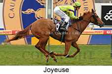 Joyeuse (14772 bytes)