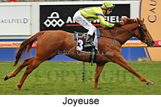 Joyeuse (14772 bytes)