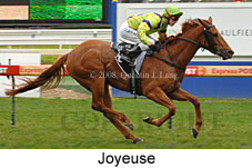 Joyeuse (14772 bytes)