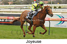 Joyeuse (14772 bytes)