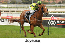 Joyeuse (14772 bytes)