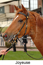 Joyeuse (14772 bytes)