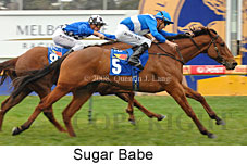 Sugar Babe (14772 bytes)