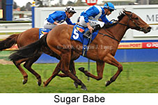 Sugar Babe (14772 bytes)