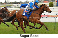 Sugar Babe (14772 bytes)