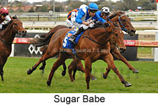 Sugar Babe (14772 bytes)