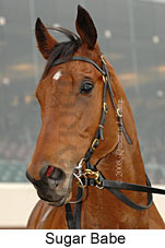 Sugar Babe (14772 bytes)