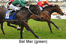 Bel Mer (14772 bytes)