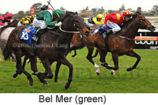 Bel Mer (14772 bytes)