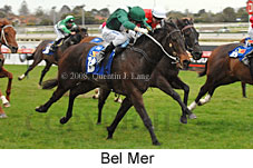 Bel Mer (14772 bytes)