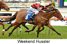 Weekend Hussler (14772 bytes)