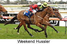 Weekend Hussler (14772 bytes)