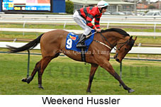 Weekend Hussler (14772 bytes)