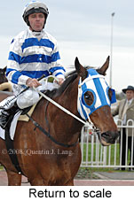 Return to scale (14008 bytes)