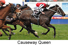 Causeway Queen (14772 bytes)