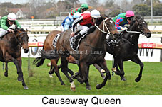 Causeway Queen (14772 bytes)