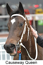 Causeway Queen (14772 bytes)