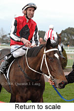 Return to scale (14008 bytes)