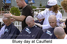 blueyday.jpg (15785 bytes)