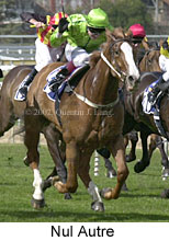 r1nulautre2.jpg (15814 bytes)