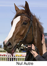 r1nulautre3.jpg (12225 bytes)