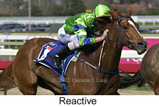 r2reactive2.jpg (14345 bytes)