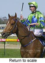 r2rtosc.jpg (13424 bytes)