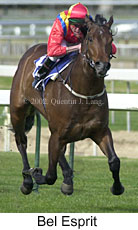 r3belesprit2.jpg (12955 bytes)