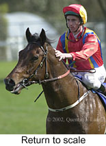 r3rtosc.jpg (12873 bytes)