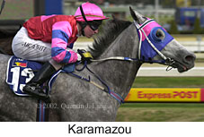 r4karamazou.jpg (14310 bytes)