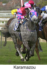 r4karamazou2.jpg (14435 bytes)