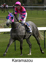 r4karamazou3.jpg (12780 bytes)