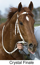 r5crystalfinale2.jpg (11476 bytes)
