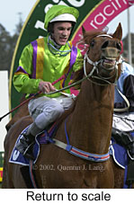 r5rtosc.jpg (15698 bytes)