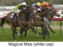 r6magicalmiss2.jpg (15149 bytes)